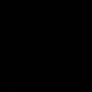 Meet your Posher, Aliyah